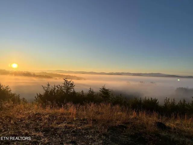 $750,000 | 1355 Jackson Hollow Road, Mosheim, TN 37818