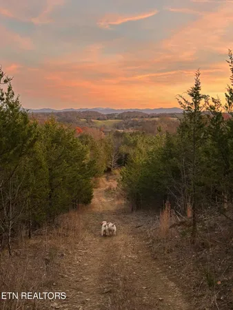 $735,000 | 1355 Jackson Hollow Road, Mosheim, TN 37818