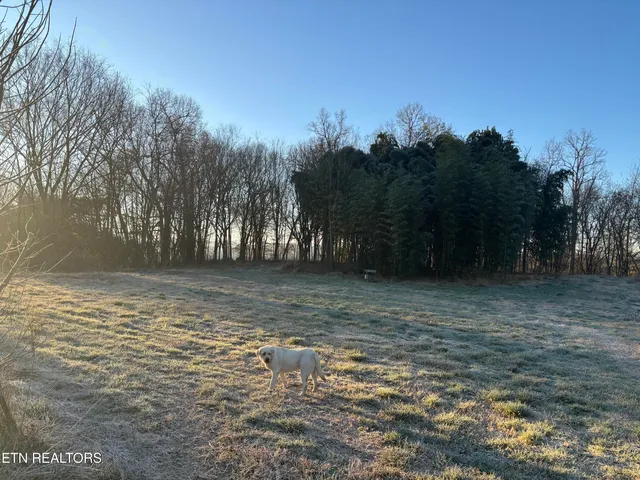 $750,000 | 1355 Jackson Hollow Road, Mosheim, TN 37818