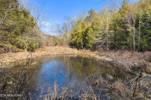 $750,000 | 1355 Jackson Hollow Road, Mosheim, TN 37818