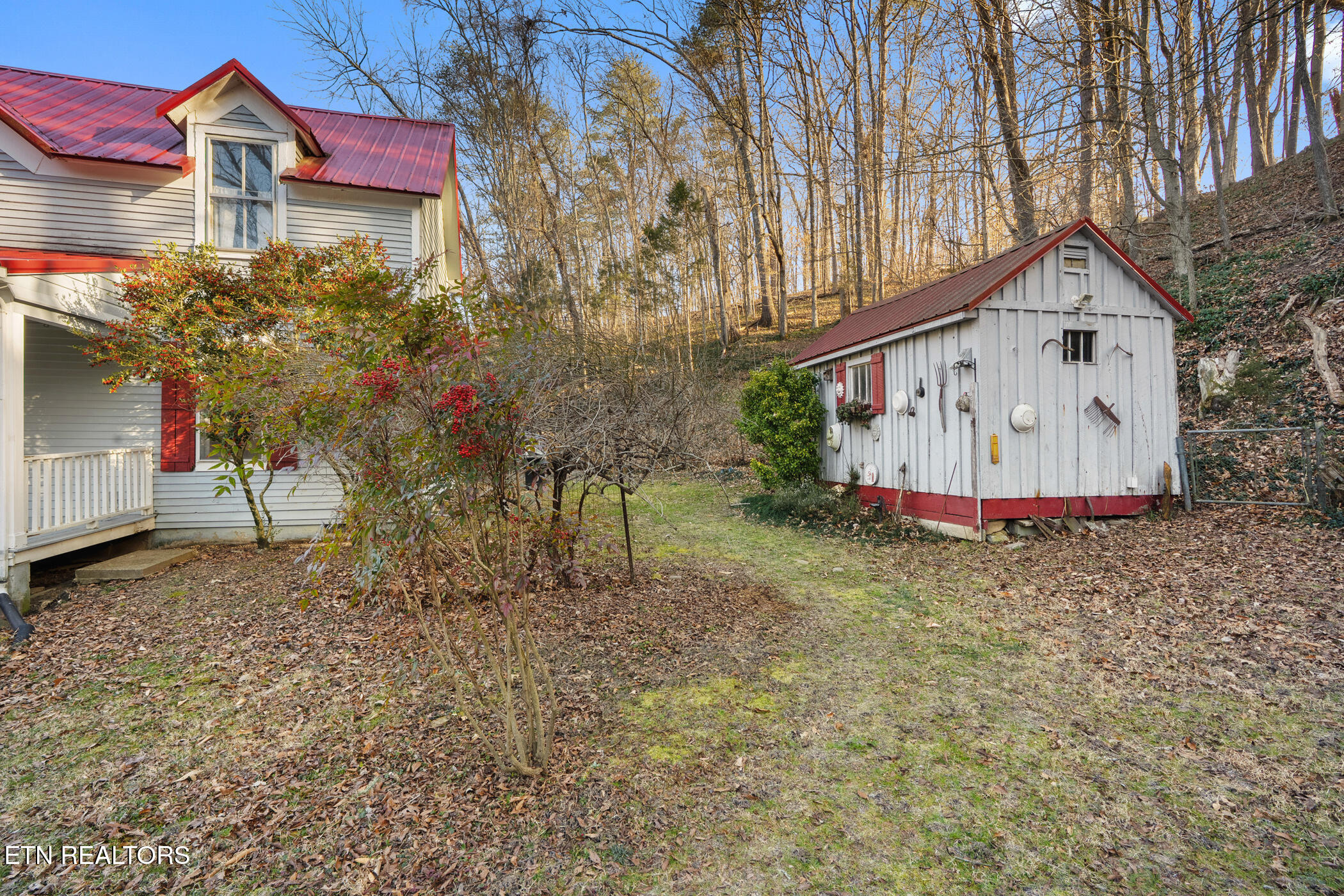 1355 Jackson Hollow Road Mosheim, TN 37818 - Photo 6 of 48 dsc09645