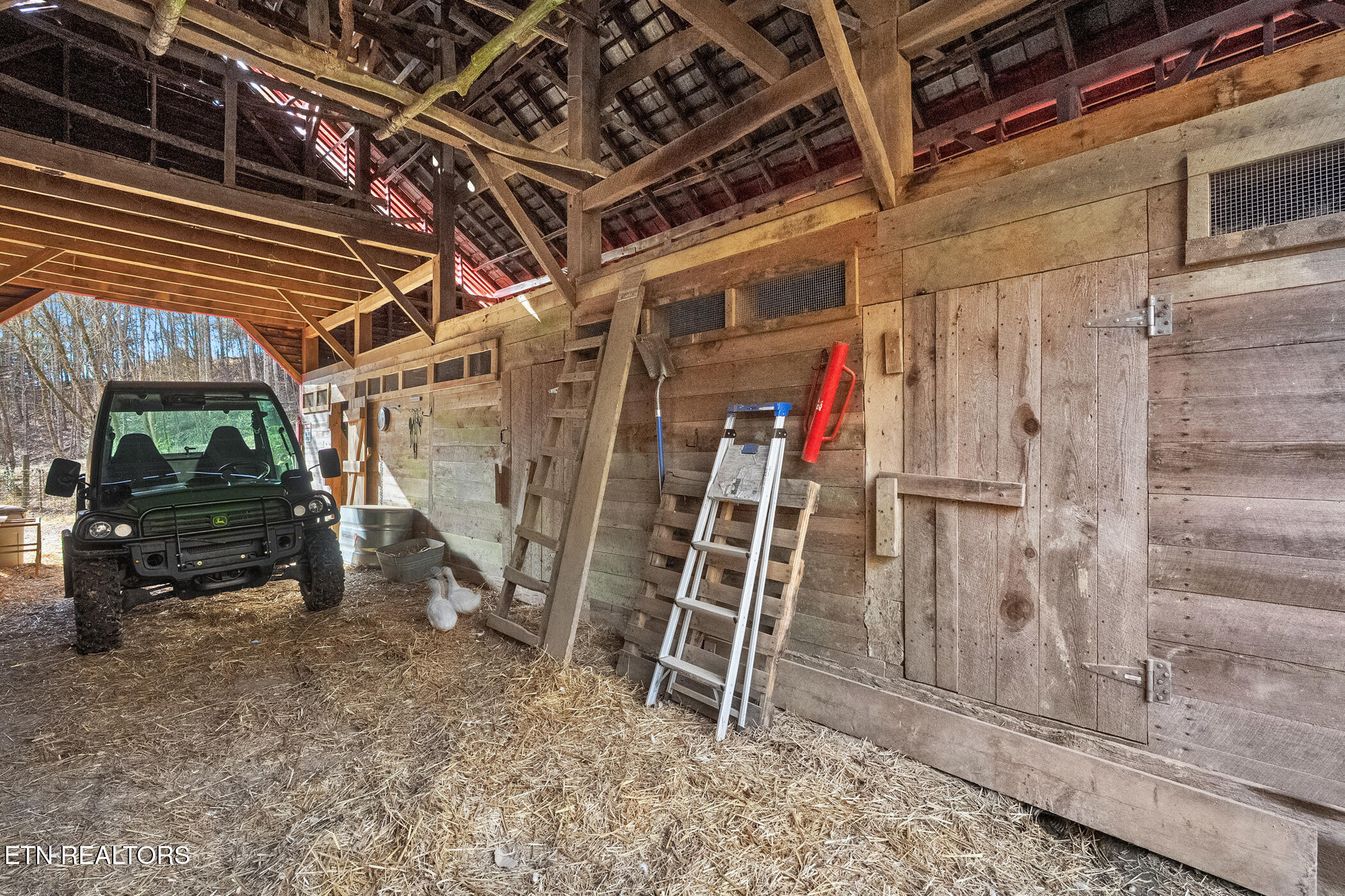 1355 Jackson Hollow Road Mosheim, TN 37818 - Photo 8 of 48 dsc09690