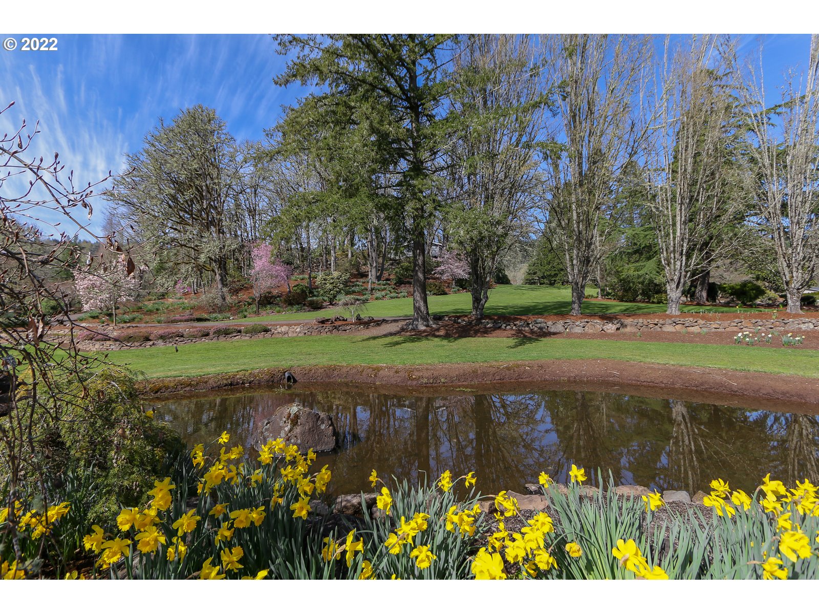 36081 Camp Creek Road Springfield, OR 97478 - Photo 23 of 30