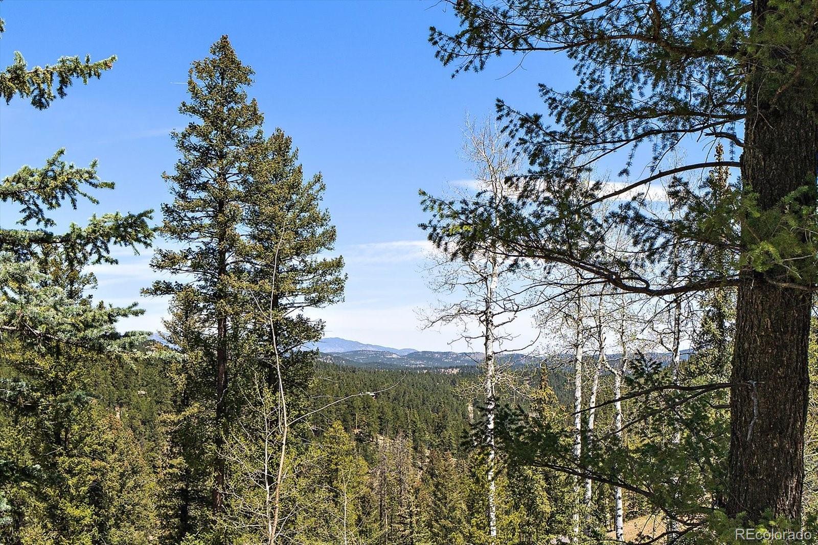 6855 Lynx Lair Road Evergreen, CO 80439 - Photo 12 of 21 a view of a tree in a yard