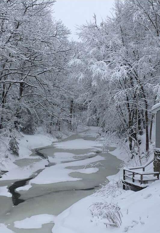 21 Mill Road Falmouth, ME 04105 - Photo 8 of 8 Rodway.8