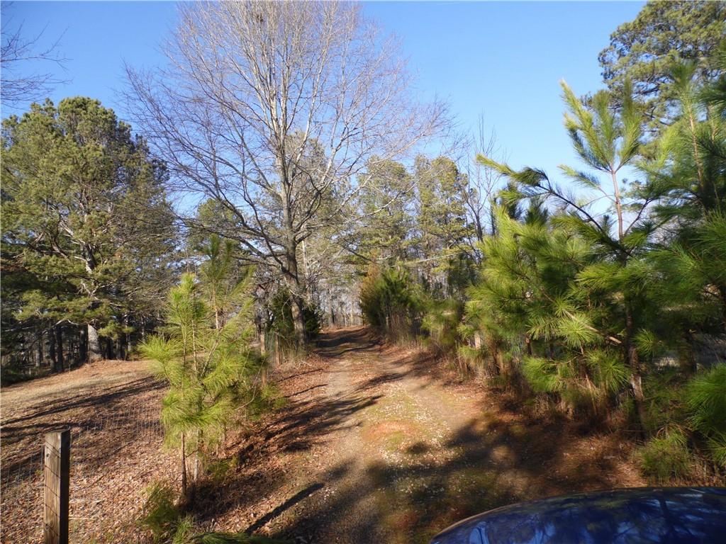671 Manning Gin Road Monroe, GA 30656 - Photo 1 of 1 a view of a yard with plants and trees