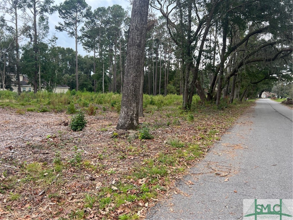 101 Brandy Road Savannah, GA 31419 - Photo 3 of 9