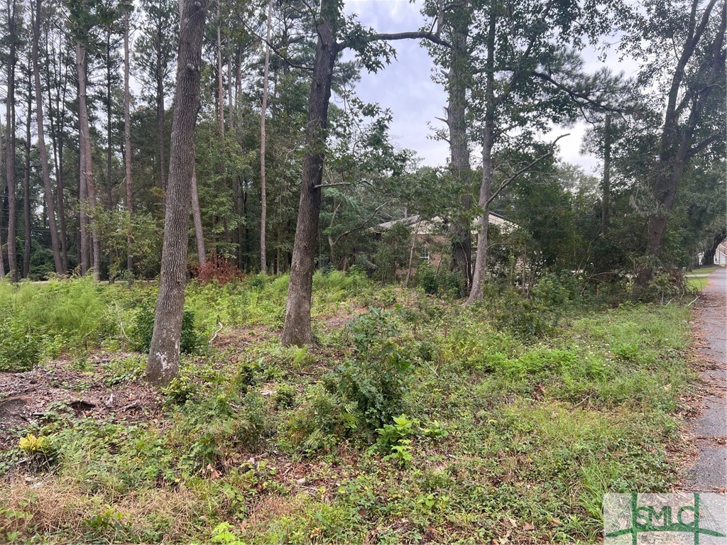 101 Brandy Road Savannah, GA 31419 - Photo 8 of 9