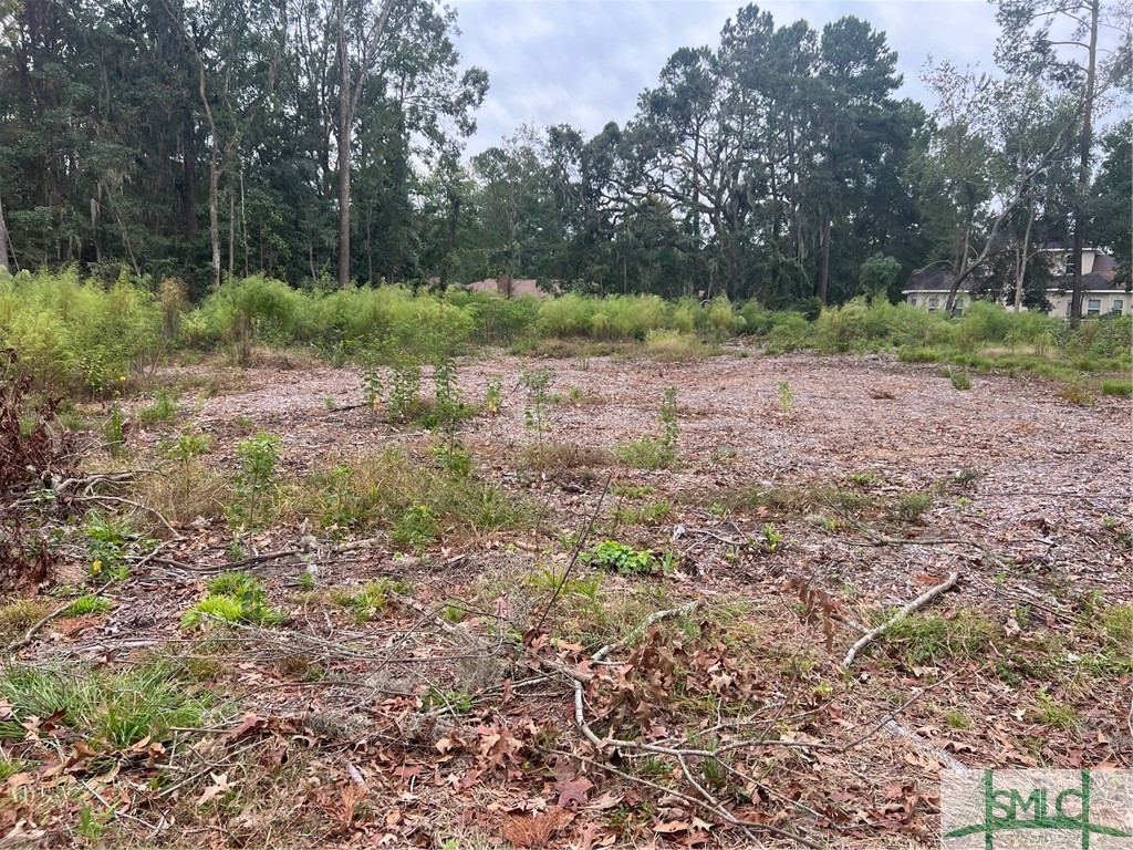 101 Brandy Road Savannah, GA 31419 - Photo 9 of 9
