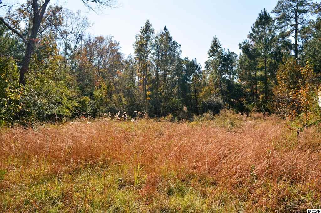 Lot 2 Loris Avenue Georgetown, SC 29440 - Photo 1 of 8 Gallery Image 1