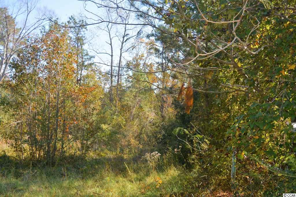 Lot 2 Loris Avenue Georgetown, SC 29440 - Photo 4 of 8 Gallery Image 4