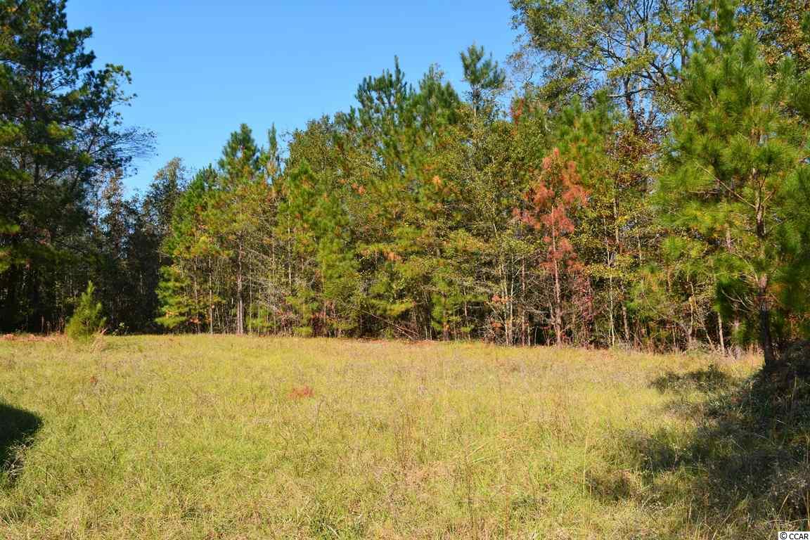 Lot 2 Loris Avenue Georgetown, SC 29440 - Photo 6 of 8 Gallery Image 6
