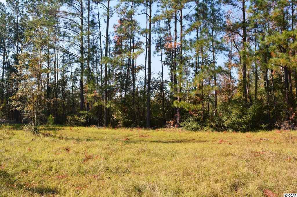 Lot 2 Loris Avenue Georgetown, SC 29440 - Photo 7 of 8 Gallery Image 7