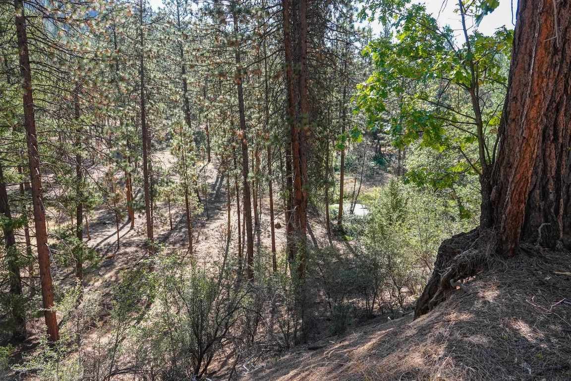 10206 Quartz Valley Road Fort Jones, CA 96032 - Photo 42 of 50 Gallery Image 42