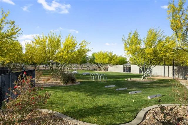a view of a park with plants and trees