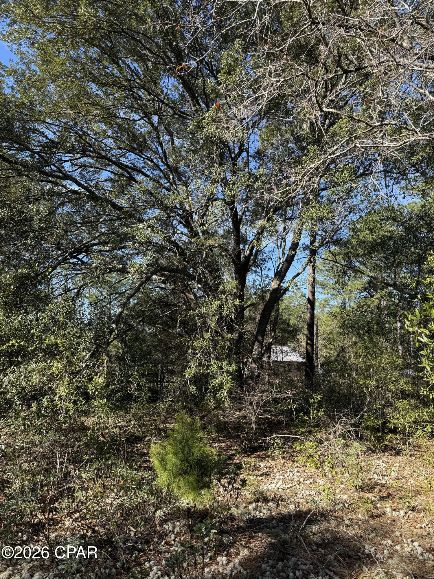 Lot 21 Grassy Pond Road Chipley, FL 32428 - Photo 3 of 14