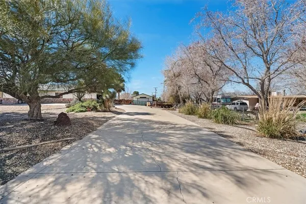 a view of road view with large trees