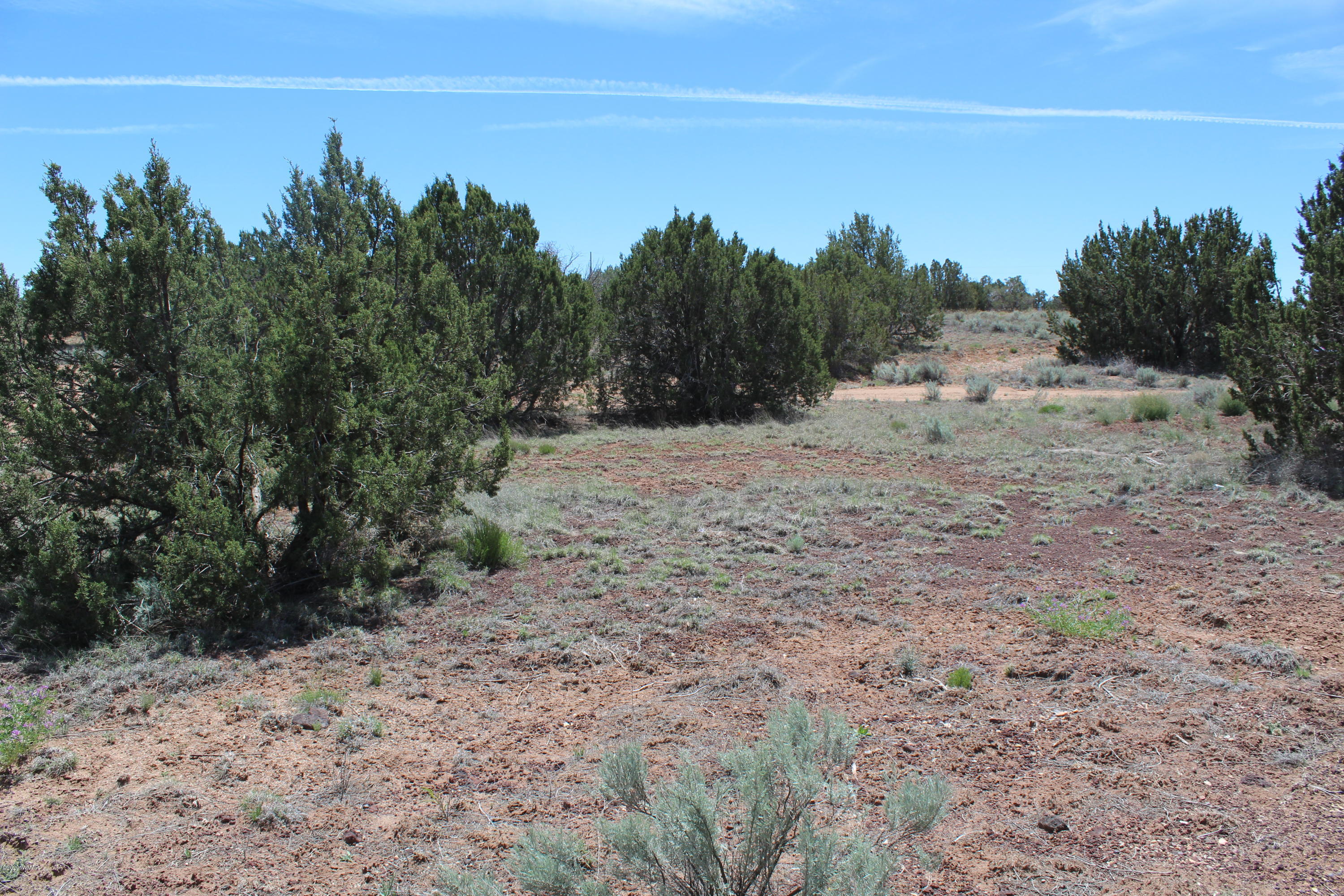 3969 Ramsey Road Snowflake, AZ 85937 - Photo 4 of 17