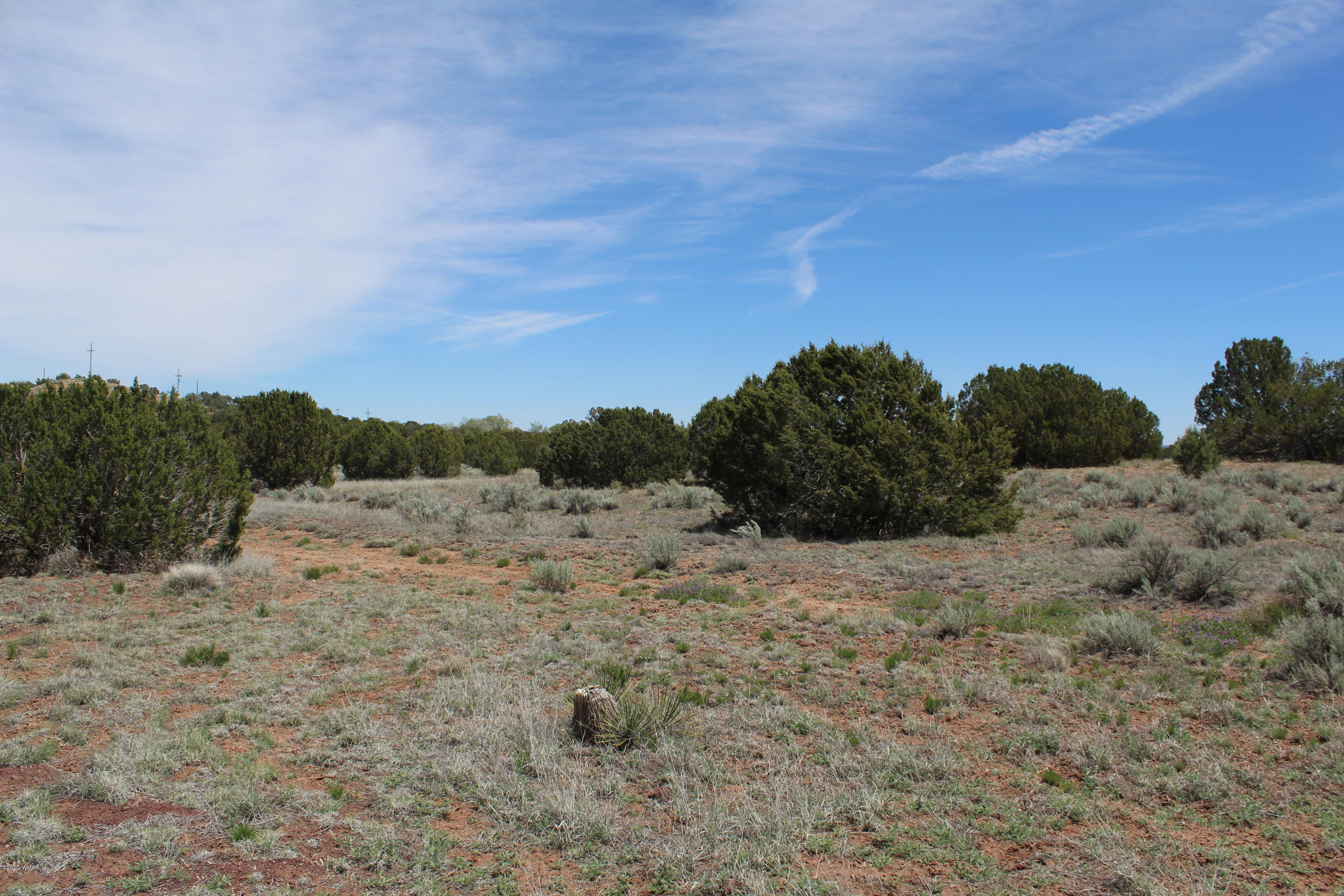 3969 Ramsey Road Snowflake, AZ 85937 - Photo 5 of 17