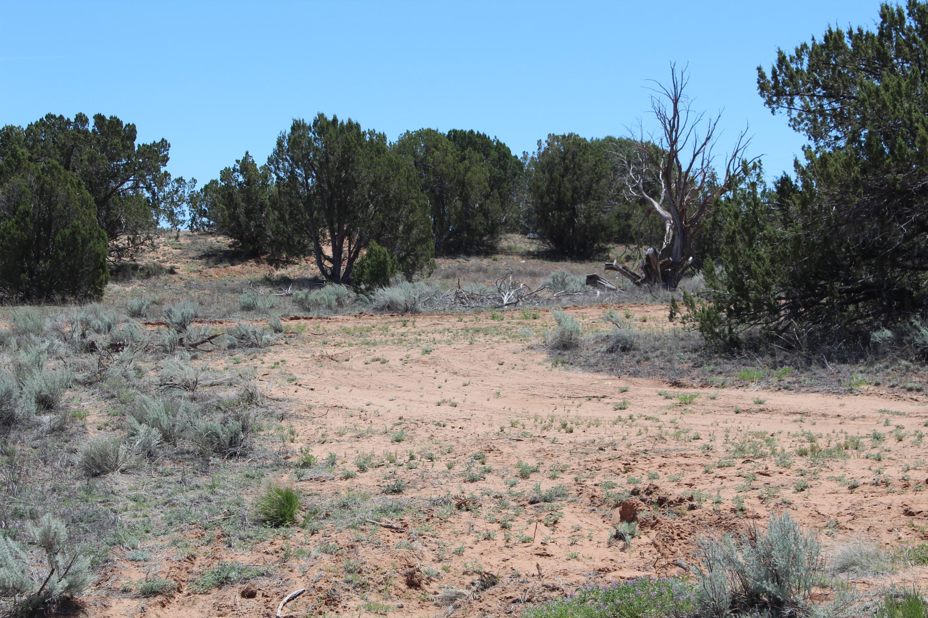 3969 Ramsey Road Snowflake, AZ 85937 - Photo 7 of 17