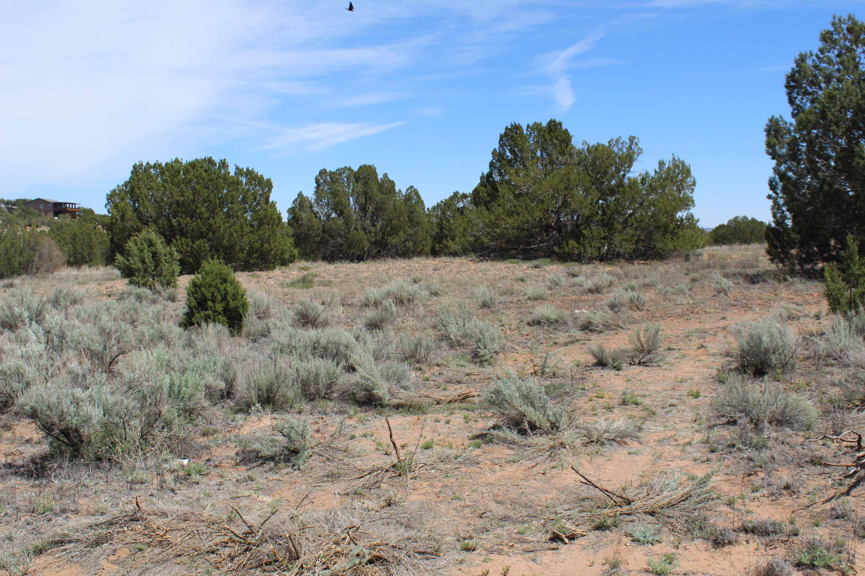 3969 Ramsey Road Snowflake, AZ 85937 - Photo 8 of 17