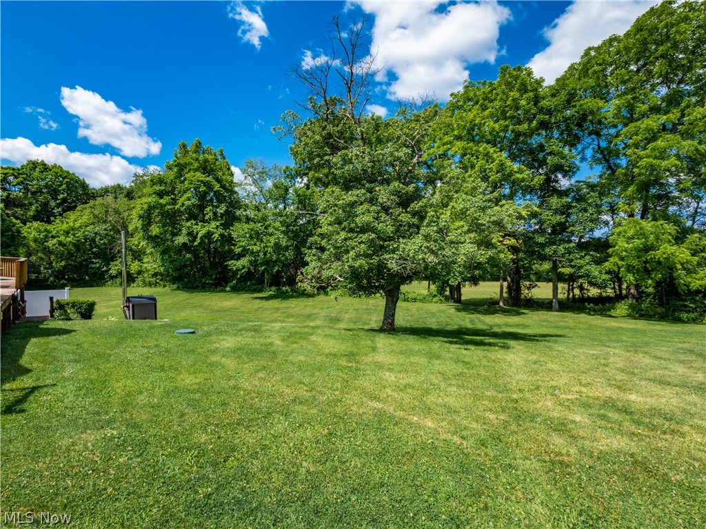 5245 Center Road Philo, OH 43771 - Photo 26 of 39 View of yard