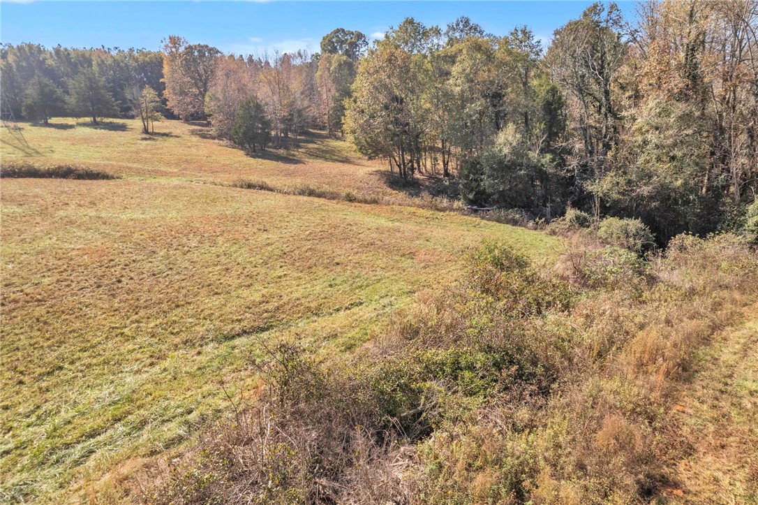 200 Cantrell Road Pendleton, SC 29670 - Photo 4 of 13