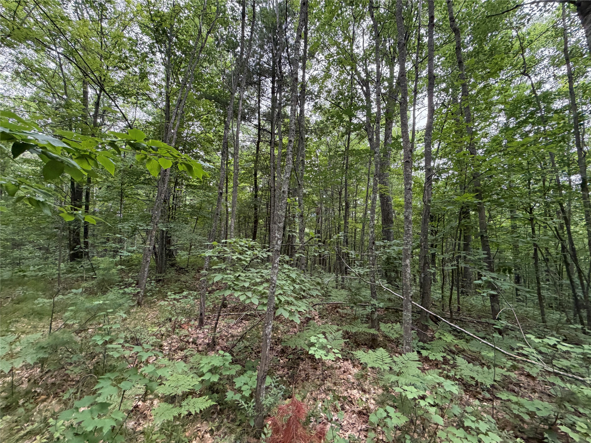 Lot 1 Nor Wis Road North Hayward, WI 54843 - Photo 35 of 37