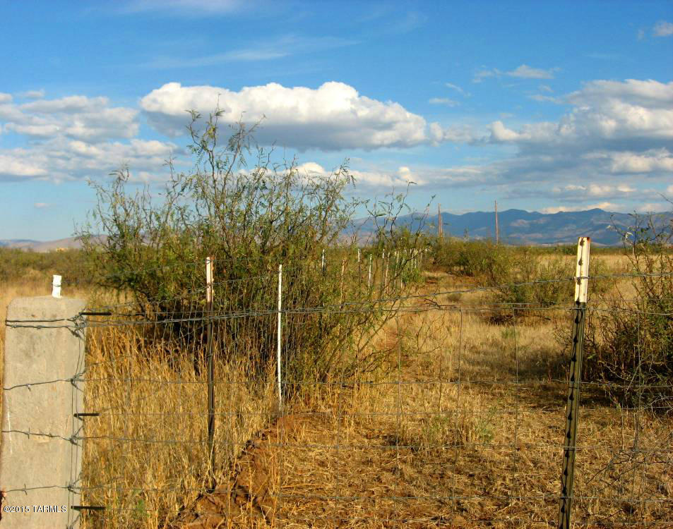 40 Ac On Grimmett Road, Unit 68 Pearce, AZ 85625 - Photo 2 of 9