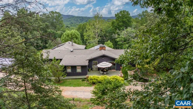 a view of a forest with lots of trees