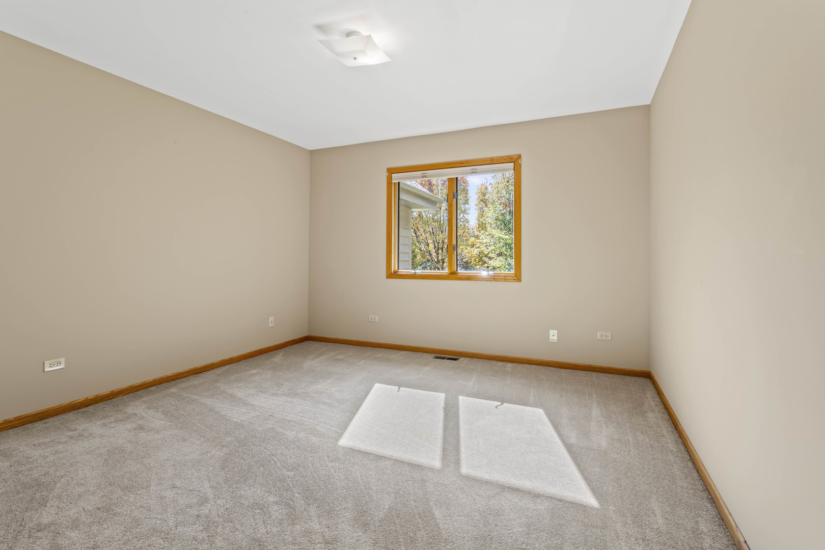 15857 West Baker Road Manhattan, IL 60442 - Photo 21 of 46 Gallery Image 21
