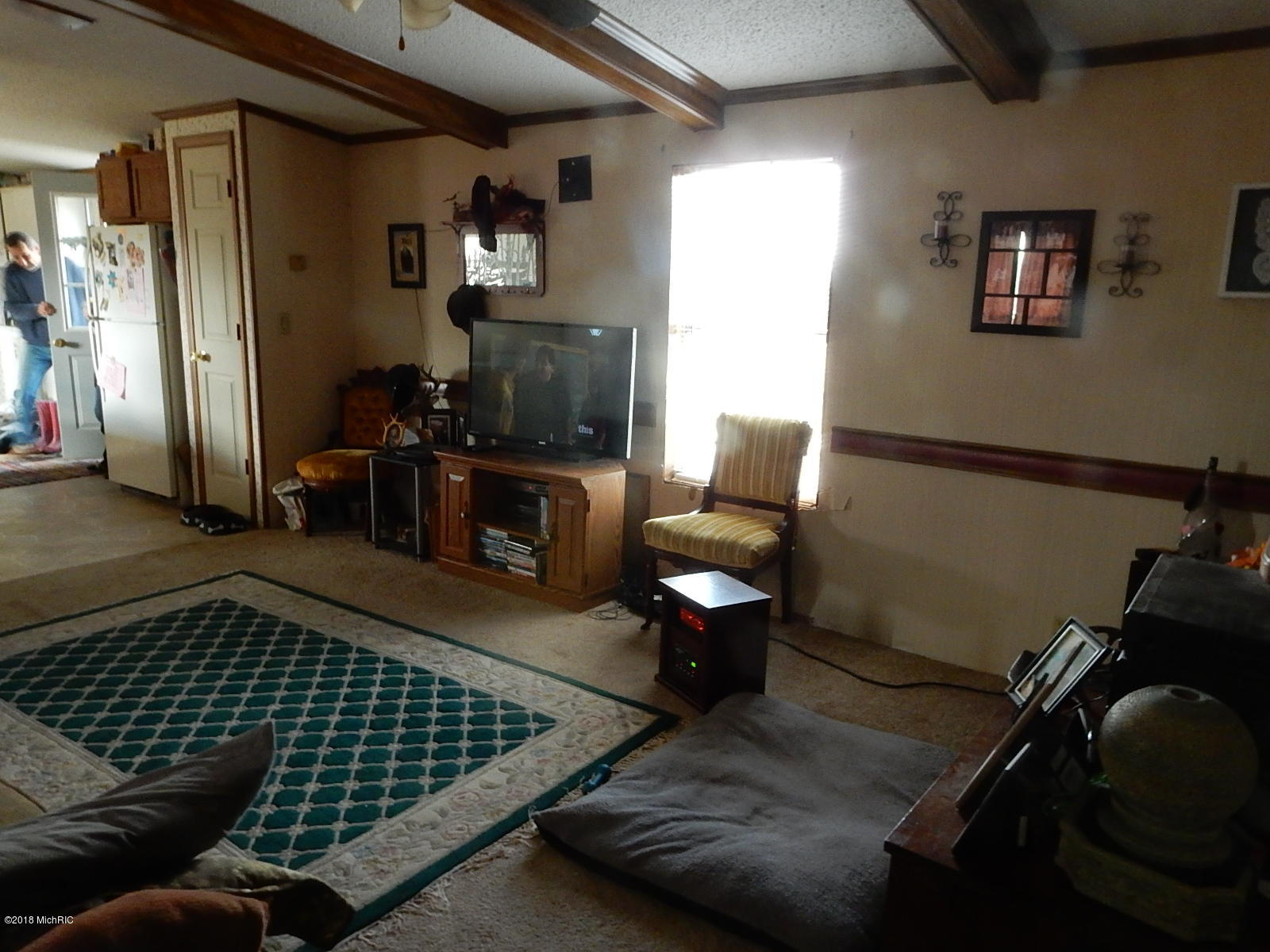 7640 Nickleplate Road Muir, MI 48860 - Photo 18 of 41 Living Room