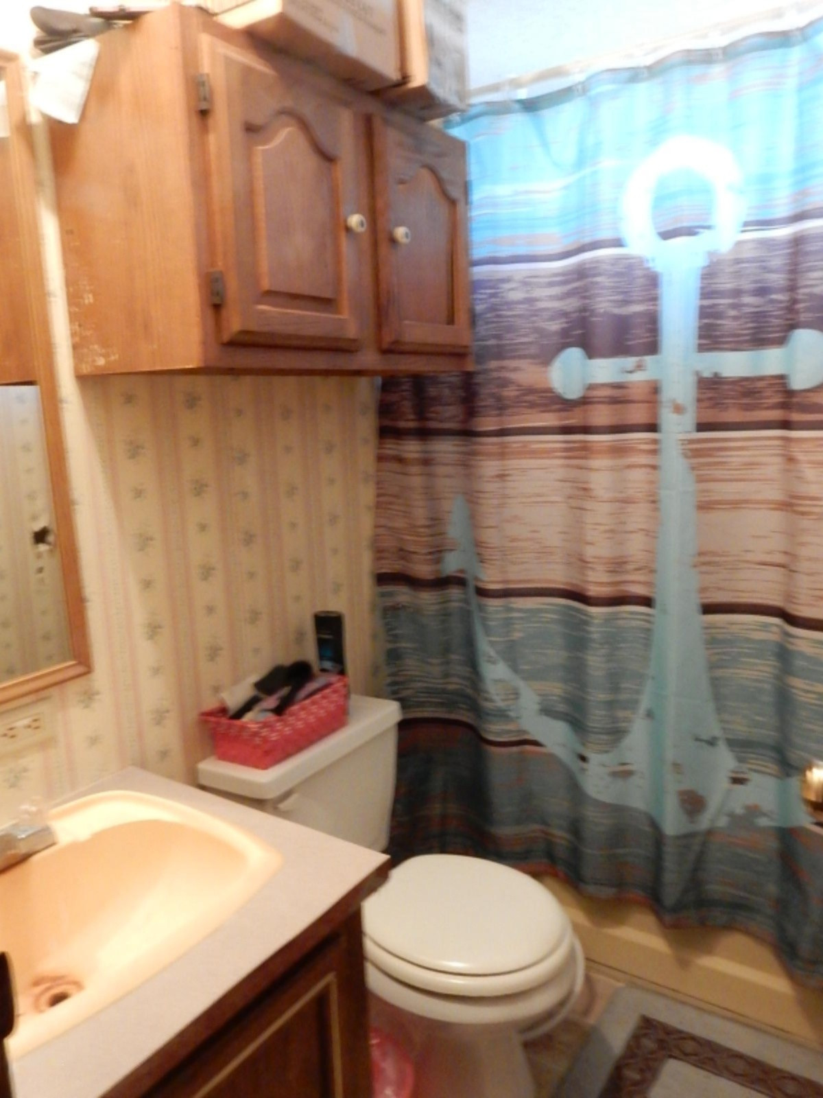 7640 Nickleplate Road Muir, MI 48860 - Photo 19 of 41 Main bath