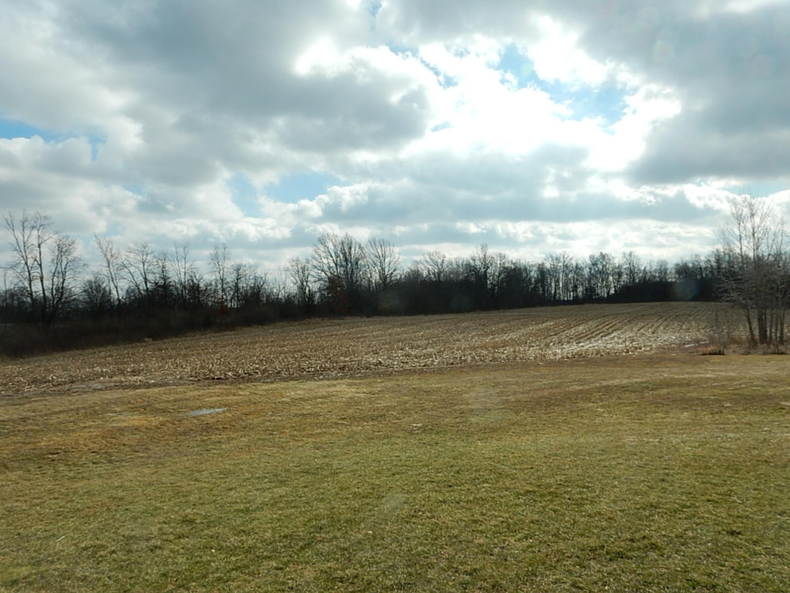 7640 Nickleplate Road Muir, MI 48860 - Photo 2 of 41 Back Field