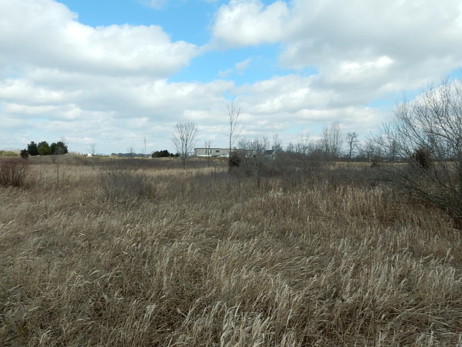 7640 Nickleplate Road Muir, MI 48860 - Photo 25 of 41 Rear view of home