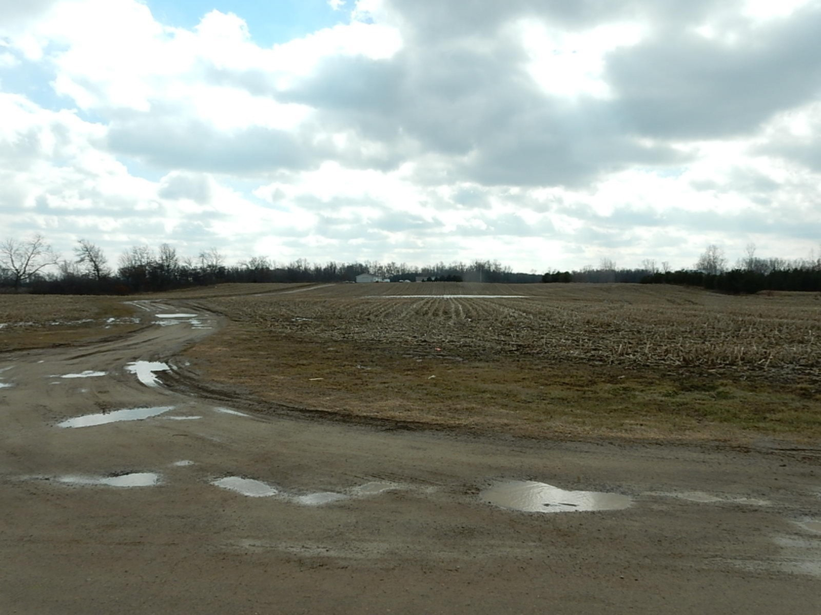7640 Nickleplate Road Muir, MI 48860 - Photo 30 of 41 Road View