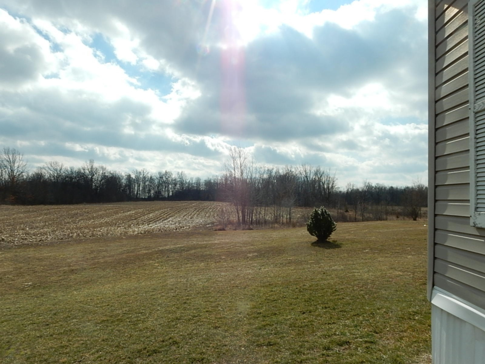 7640 Nickleplate Road Muir, MI 48860 - Photo 3 of 41 Back Field