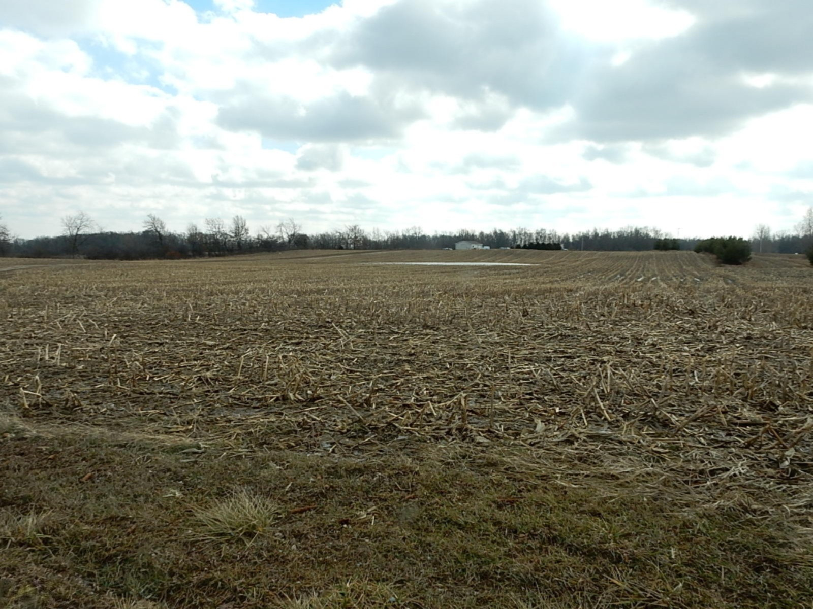 7640 Nickleplate Road Muir, MI 48860 - Photo 31 of 41 Road View