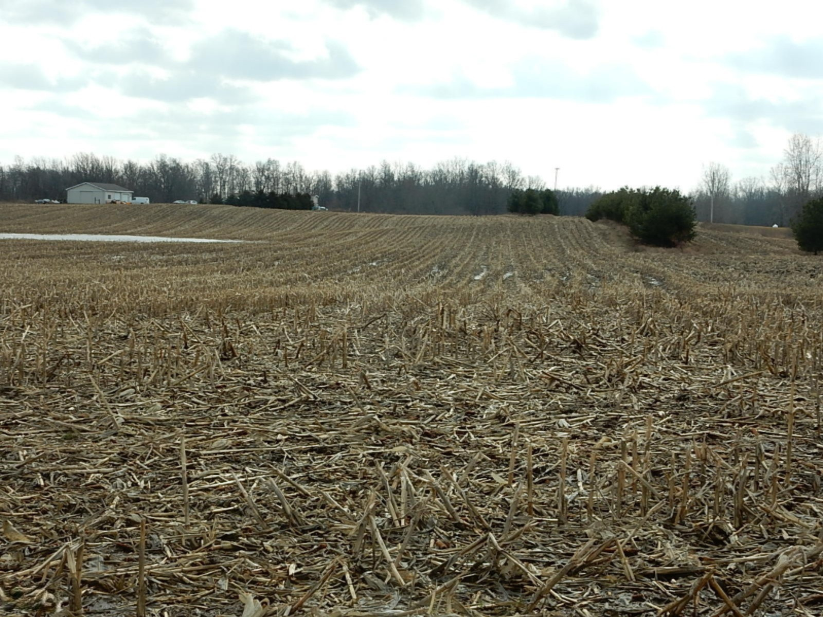 7640 Nickleplate Road Muir, MI 48860 - Photo 32 of 41 Road View