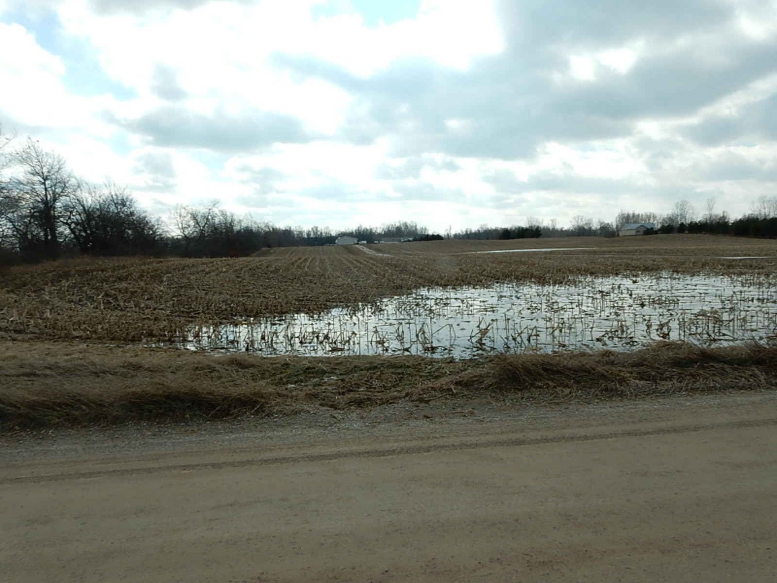 7640 Nickleplate Road Muir, MI 48860 - Photo 33 of 41 Road View