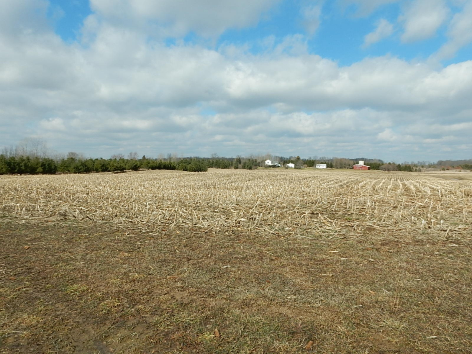 7640 Nickleplate Road Muir, MI 48860 - Photo 36 of 41 View from Home