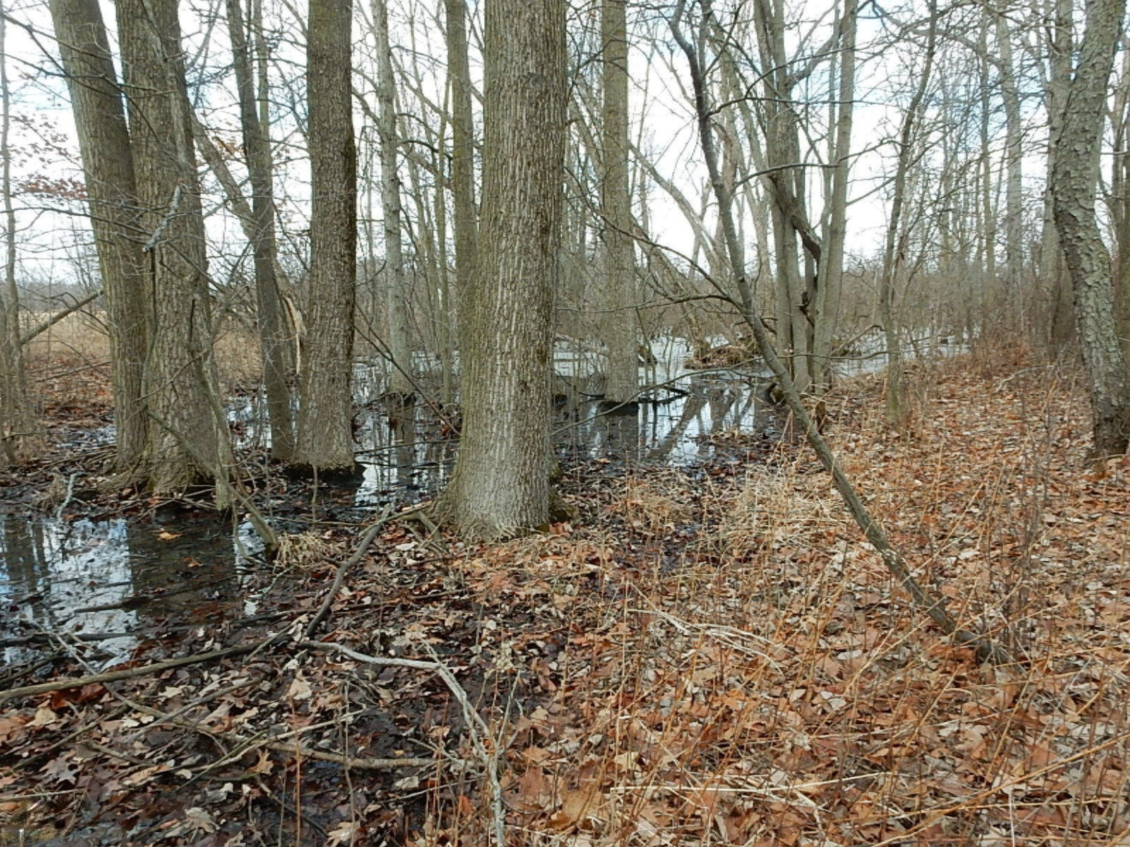 7640 Nickleplate Road Muir, MI 48860 - Photo 37 of 41 Wate hole