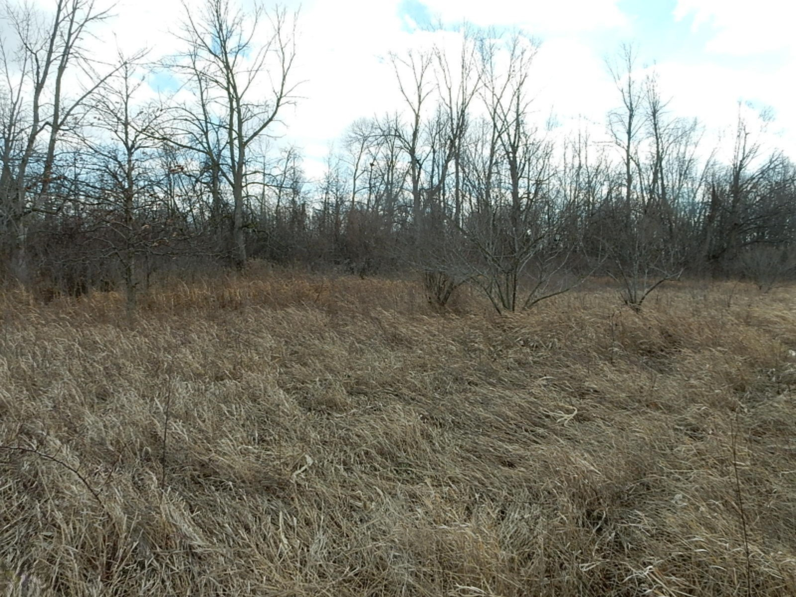 7640 Nickleplate Road Muir, MI 48860 - Photo 38 of 41 Water hole