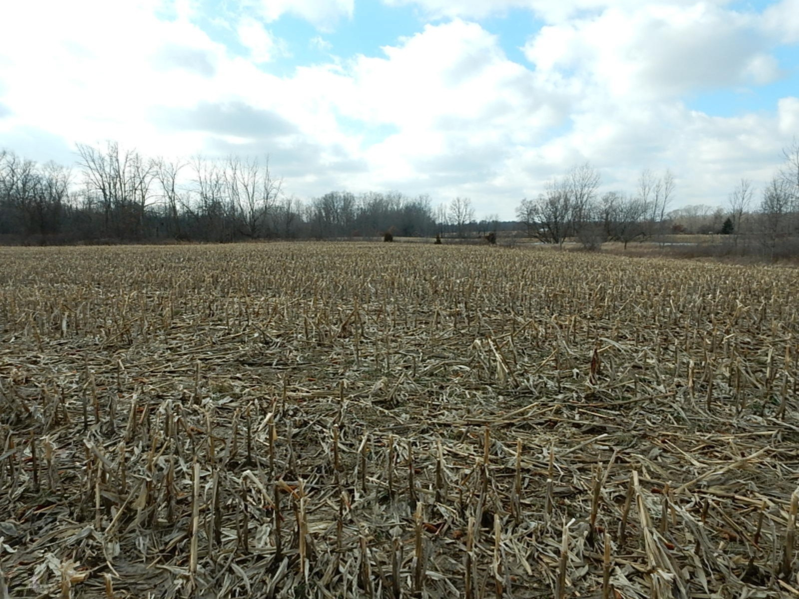7640 Nickleplate Road Muir, MI 48860 - Photo 5 of 41 Back Field