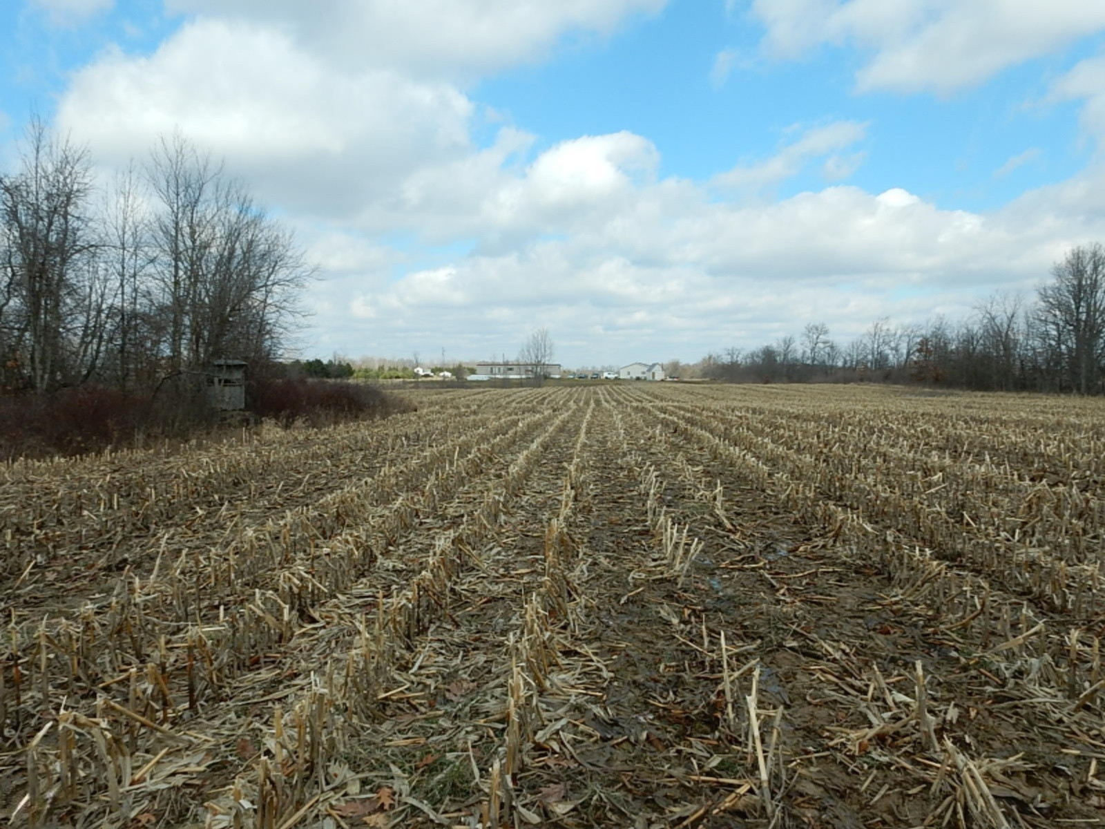 7640 Nickleplate Road Muir, MI 48860 - Photo 7 of 41 Back field