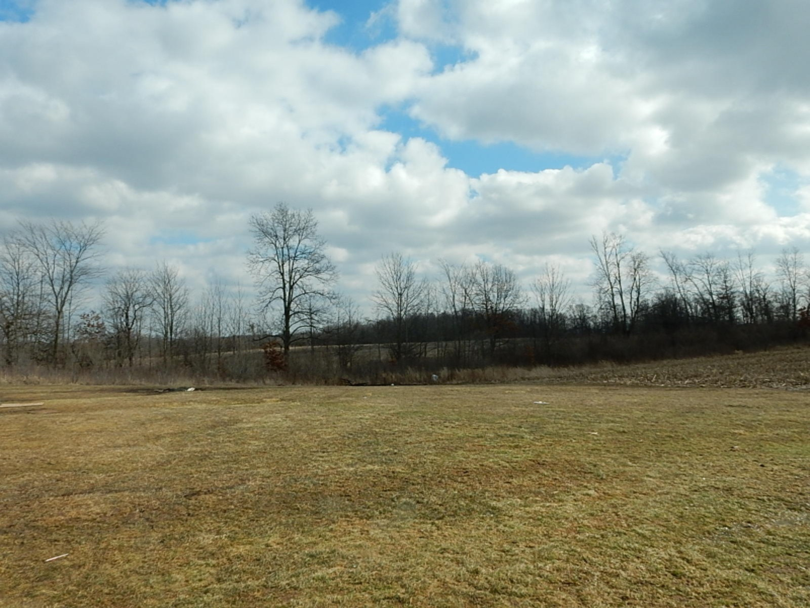 7640 Nickleplate Road Muir, MI 48860 - Photo 8 of 41 Back Field