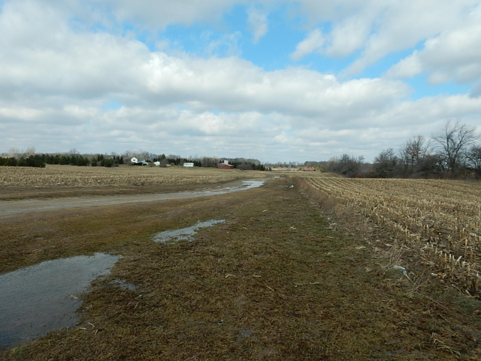 7640 Nickleplate Road Muir, MI 48860 - Photo 10 of 41 Driveway