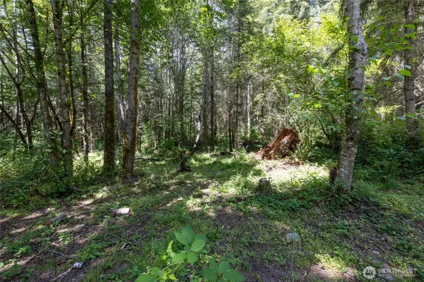 $596,000 | 328-xx 16th Avenue South, Roy, WA 98580