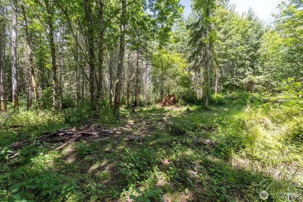 $596,000 | 328-xx 16th Avenue South, Roy, WA 98580