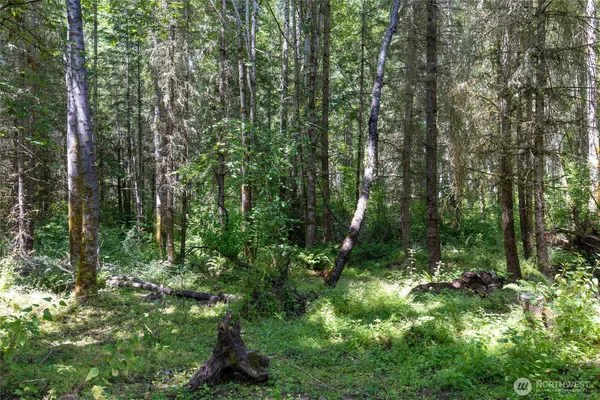 $596,000 | 328-xx 16th Avenue South, Roy, WA 98580